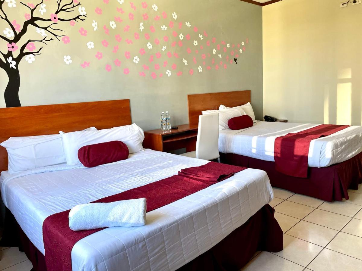 Hotel Fotherhouse サンサルバドル エクステリア 写真