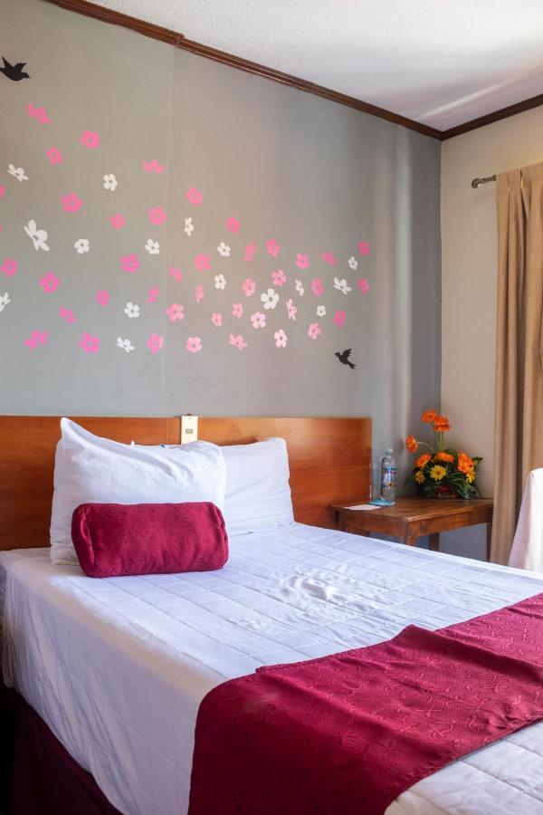 Hotel Fotherhouse サンサルバドル エクステリア 写真